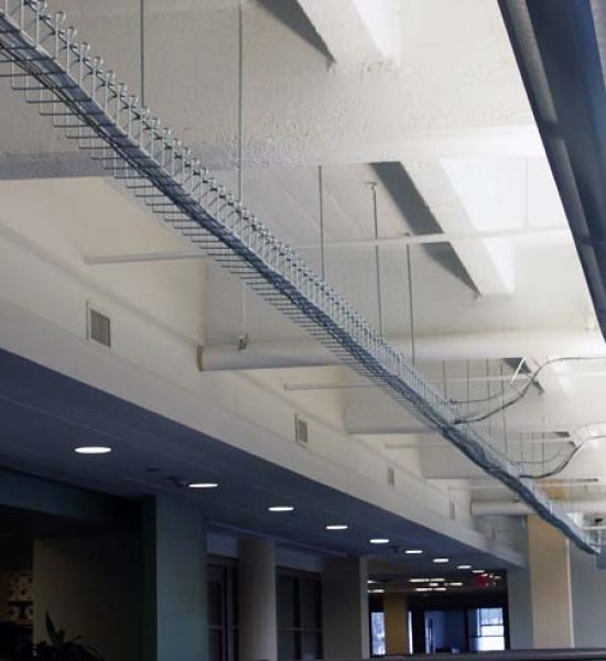 architectural-statement-with-snake-tray-1